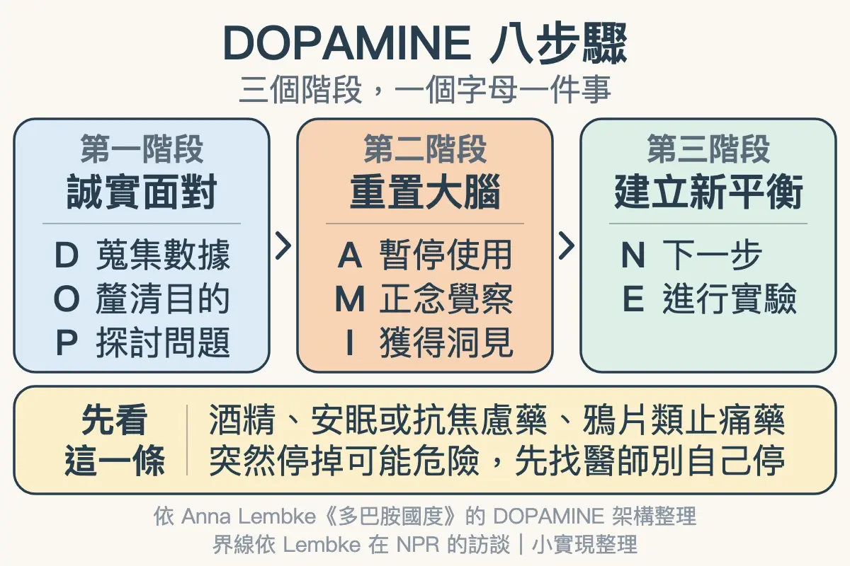 DOPAMINE 八步驟分成三個階段：誠實面對（蒐集數據、釐清目的、探討問題）、重置大腦（暫停使用、正念覺察、獲得洞見）、建立新平衡（下一步、進行實驗），底部提醒酒精與藥物要先找醫師